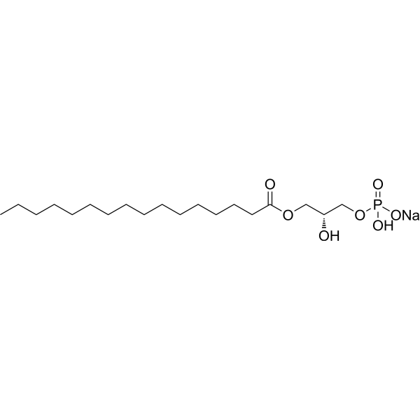 1-Palmitoyl-sn-glycerol 3-phosphate sodium salt (1-P-GPA sodium salt) 17618-08-5